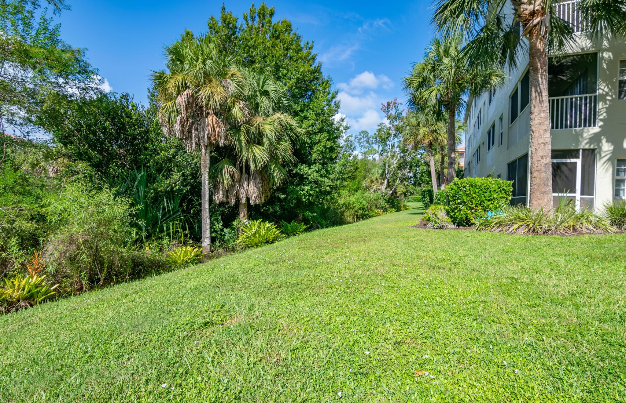 The backyard behind the building is lush, green and subtropical